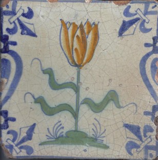 Tulp in Baluster