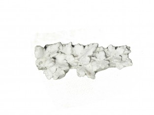 Ornament bloemenlijstje