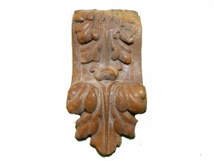 Ornament bruintint veren