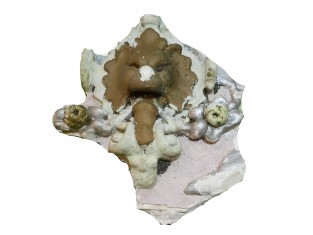 Ornament springende leeuw