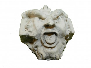 Orn. brede wenkbrauwen 7