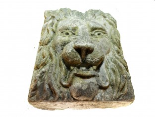 Ornament wijze leeuw