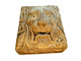 Ornament gewonde leeuw