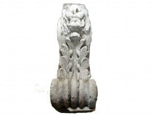 Ornament vruchtbare grond