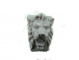 Ornament leeuw leider