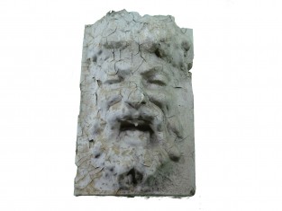 Ornament humoristische kameraad