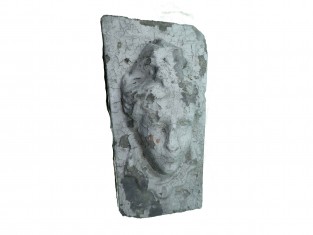 Ornament bescheiden jonkvrouw