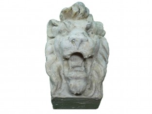 Ornament sensitieve leeuw