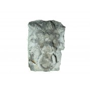 Ornament ring in leeuwenbek 2-20