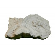 Ornament nieuw seizoen-20