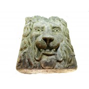 Ornament wijze leeuw-20
