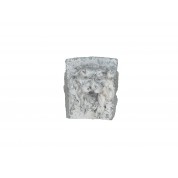 Ornament uitbundige leeuw-20