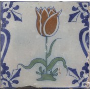 Tulp in Baluster-20