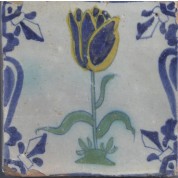 Tulp in Baluster-20